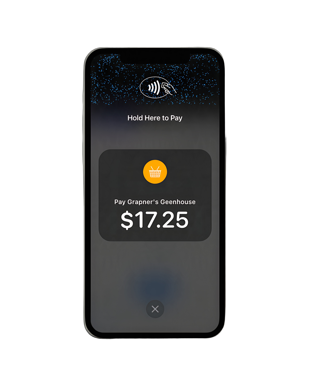 Tap to Pay on iPhone — official product image